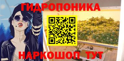 бошки Кинель