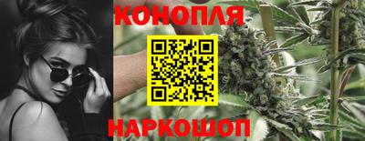 бошки Кинель