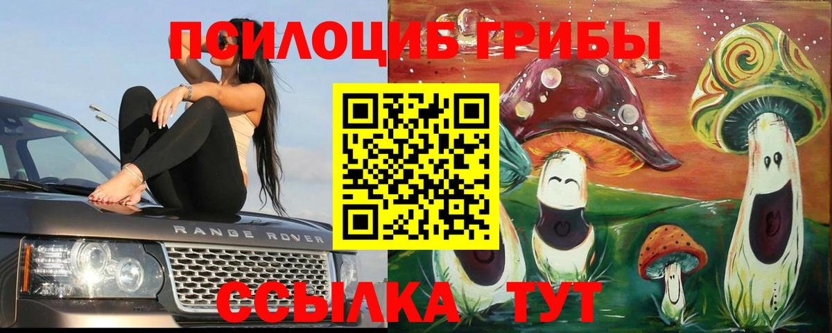 Псилоцибиновые грибы GOLDEN TEACHER Кирово-Чепецк