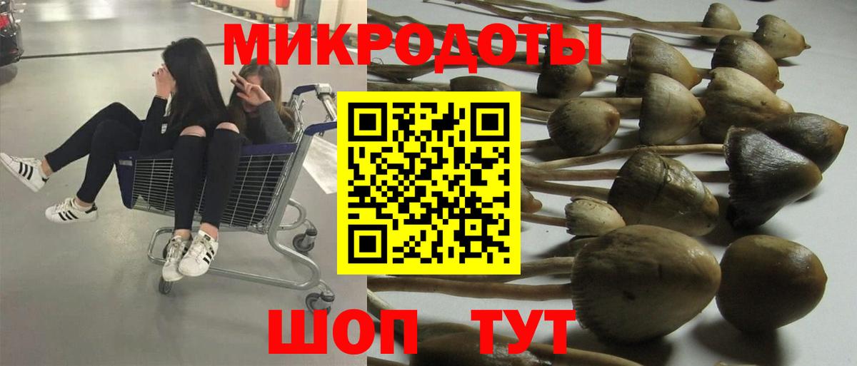 Кирово-Чепецк  Псилоцибиновые грибы мицелий  Псилоцибиновые грибы мицелий  Вход с VPN 